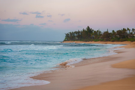 Serene Hawaiian Beach at Sunset with Palm Trees and Gentle Wavesの写真素材