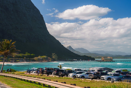 Scenic Hawaiian Coastline with Mountain, Pier, and Palm Treeの写真素材