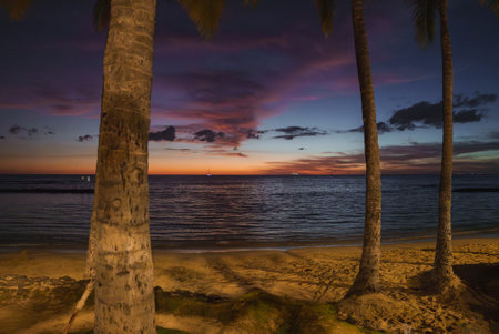Serene Tropical Beach at Sunset with Palm Trees and Small Boatsの写真素材