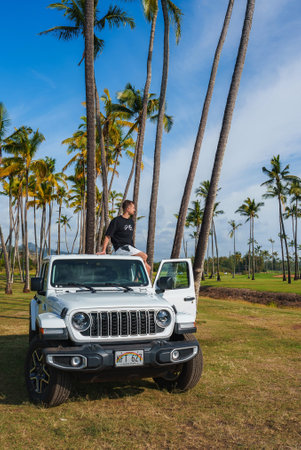 White Jeep Parked Among Palm Trees in a Tropical Hawaii Settingの写真素材