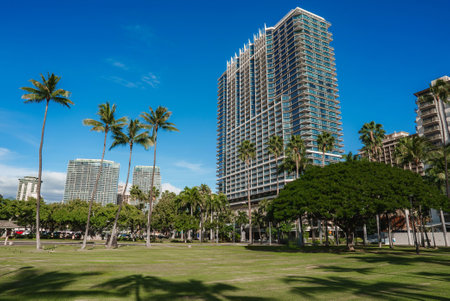 Lush Park with Palm Trees and Skyscrapers in Honolulu, Oahuの写真素材