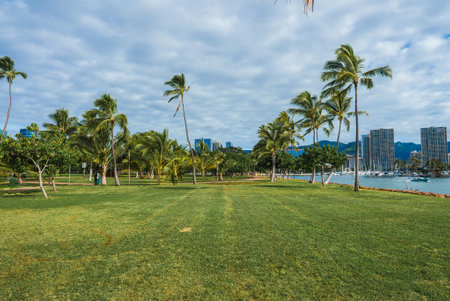 Lush Park with Palm Trees and Waterfront in Honolulu, Oahuの写真素材