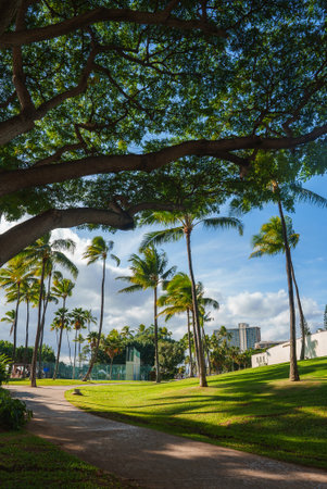Serene Park in Hawaii with Pathway, Palm Trees, and Urban Backdrop