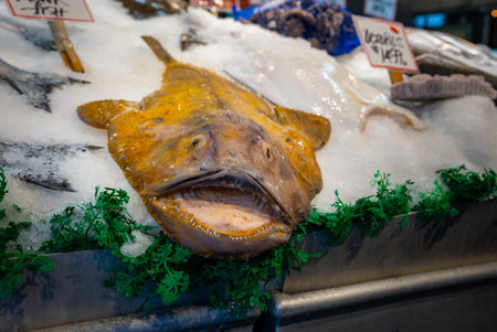 Close Up of Halibut on Crushed Ice at Pike Place Market, Seattle