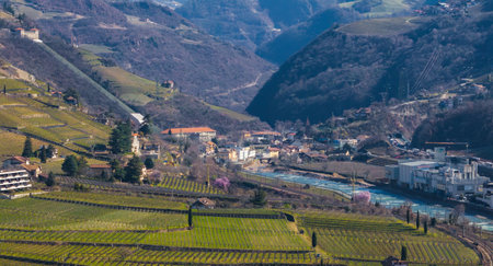 Aerial View of Bolzano, Italy with Vineyards and Cable Car Systemの写真素材