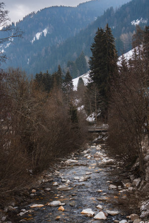 Mountain Stream and Snowy Slopesの写真素材