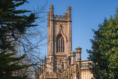 Tower of St. Lukes Church in Liverpool Surrounded by Greeneryの写真素材