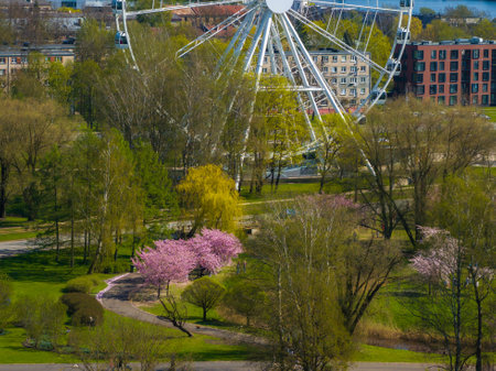 Aerial View of Riga Victory Park with Ferris Wheel and Sakura Treesの写真素材