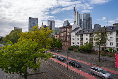 Frankfurt Street with Tree Lined Roadの写真素材
