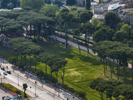 Aerial View of Park with Umbrella Pine Trees in Pompei, Italyの写真素材