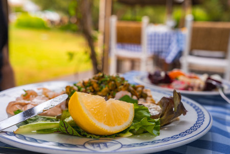 Mediterranean Meal with Lemon and Herbs on Checkered Tableclothの写真素材