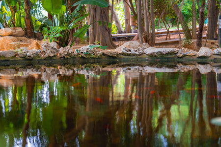 Serene Pond with Lush Greenery and Tropical Plants in Cyprus