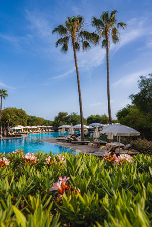 Luxurious Resort Pool with Palm Trees and Vibrant Flowers in Cyprusの写真素材