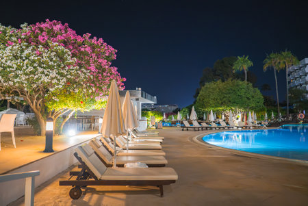 Luxurious Poolside Area at Night with Blossoming Tree in Cyprusの写真素材
