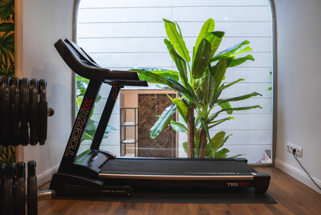 Modern Gym with TOORX TRX 100 Treadmill and Tropical View