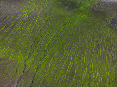 Aerial View of Green Landscape with Winding Streams in Iceland