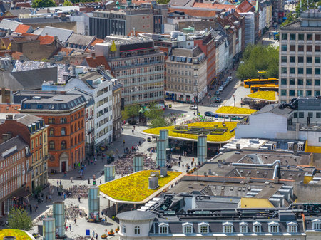 Aerial View of Architecture and Urban Sustainability