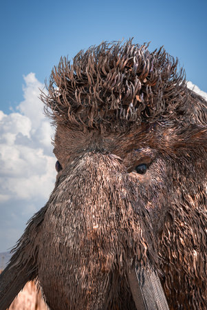 Close Up of Woolly Mammoth Art Installation at Burning Manの写真素材