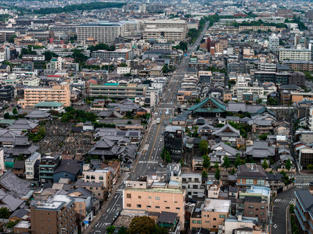 Aerial View of Kyoto with Green Roofed Temple and Urban Landscapeの写真素材