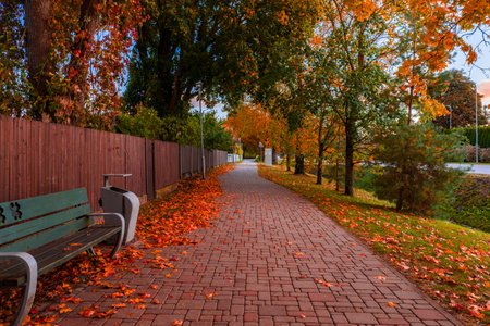 Pathway with Autumn Trees and Green Bench in Riga, Latviaの写真素材
