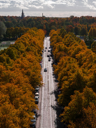Aerial View of Tree Lined Avenue in Riga During Autumnの写真素材