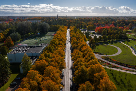 Aerial View of Park with Autumn Foliage and Cityscapeの写真素材