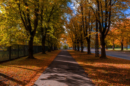 Autumn pedestrian path in Riga, Latvia with trees and leading lines