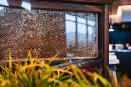 Honeycomb display in wooden frame at a hotel breakfast station in Japanの写真素材