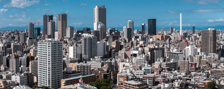 Aerial panorama of central Tokyo with Skytree and Mount Fuji