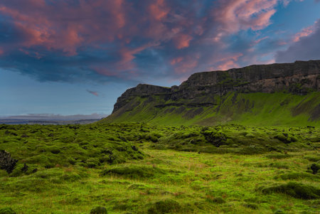 Moss covered lava field and basalt cliff on Icelands South Coastの写真素材