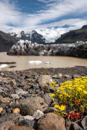 Iceland glacier tongue with lava rock foregroundの写真素材