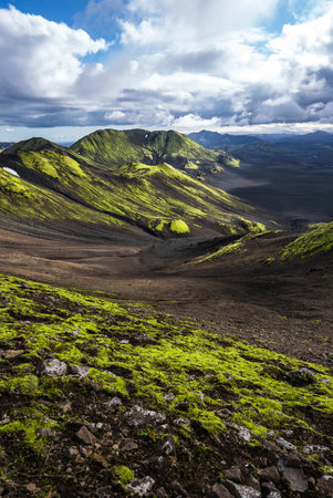 Moss ridges and ash black lava fields in Iceland highlandsの写真素材