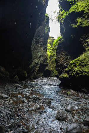 Narrow moss lined gorge with stream and volcanic rock in Icelandの写真素材