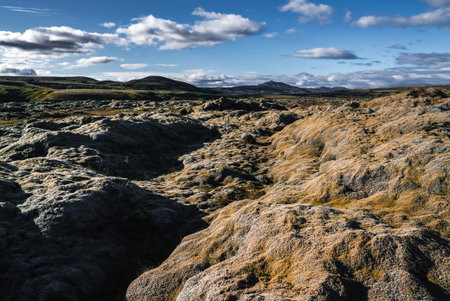 Moss covered lava field and volcanic hills in Iceland highlandsの写真素材