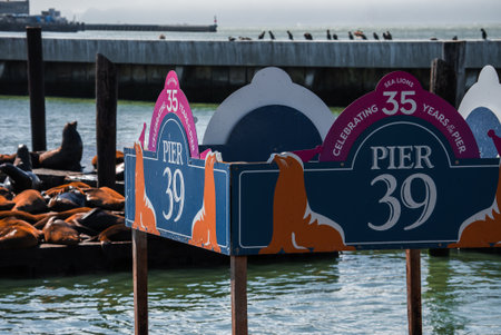Pier 39 sea lions beneath colorful sign on San Francisco Bayの写真素材