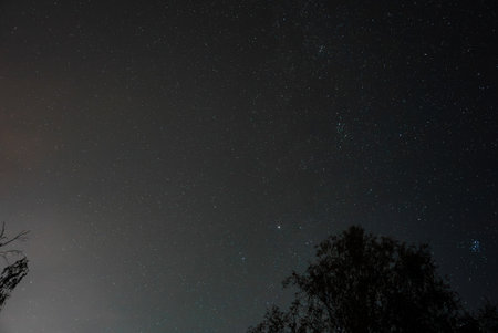 Starry night over tree silhouettes with Pleiades and Perseus hints