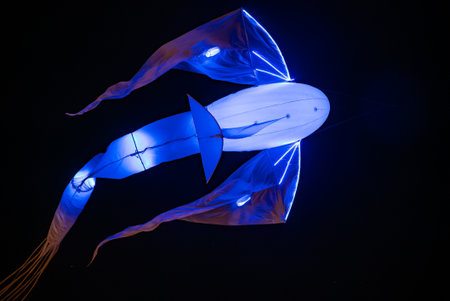 Glowing kite like fish installation at Staro Riga 2025 in Latvia