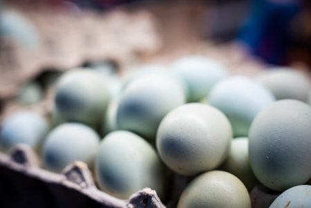 Blue green eggs in a carton at Riga Central Market, close viewの写真素材