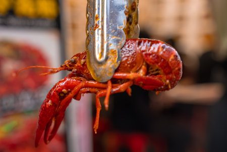 Tokyo street stall tongs lift spicy red crawfish in close up viewの写真素材