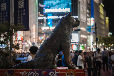 Hachiko bronze statue by Shibuya Crossing at night in Tokyoの写真素材