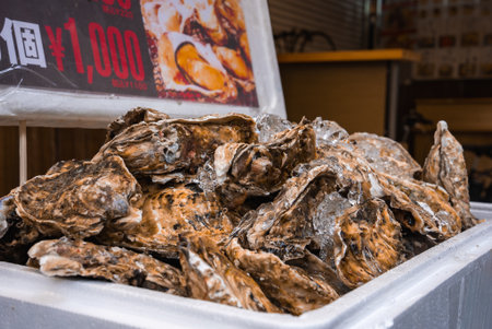 Fresh oysters on ice at a Tokyo street market seafood stallの写真素材