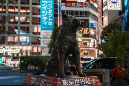 Hachiko bronze statue in Shibuya Tokyo at night with neon signsの写真素材