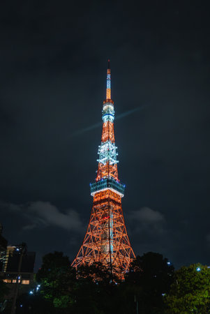 Tokyo Tower night view in Minato with lit lattice and treetopsの写真素材