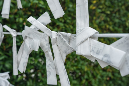 Omikuji paper fortunes tied on a white string at a Kyoto shrineの写真素材