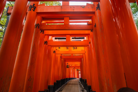 Senbon Torii corridor at Fushimi Inari Taisha in Kyoto, Japan