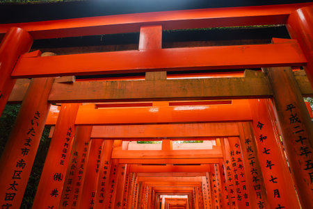 Vermilion torii corridor at Fushimi Inari Taisha in Kyoto, Japan
