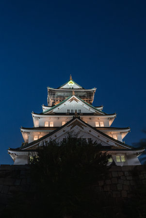 Nighttime low angle view of Osaka Castle with illuminated roofsの写真素材
