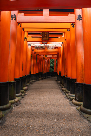 Vermilion torii tunnel at Fushimi Inari Taisha in Kyoto, Japanの写真素材