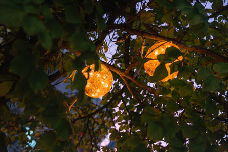 Warm string lights glow among leaves at dusk in Nara, Japanの写真素材