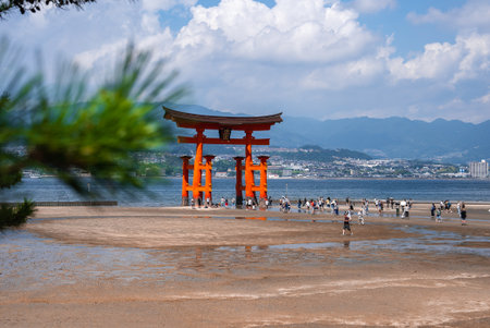 Visitors cross tidal flats to the Great Torii at Itsukushima Shrineの写真素材